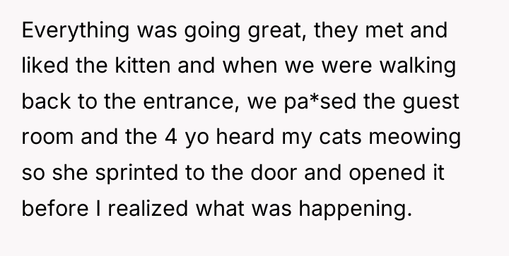 Everything was going great, they met and liked the kitten...