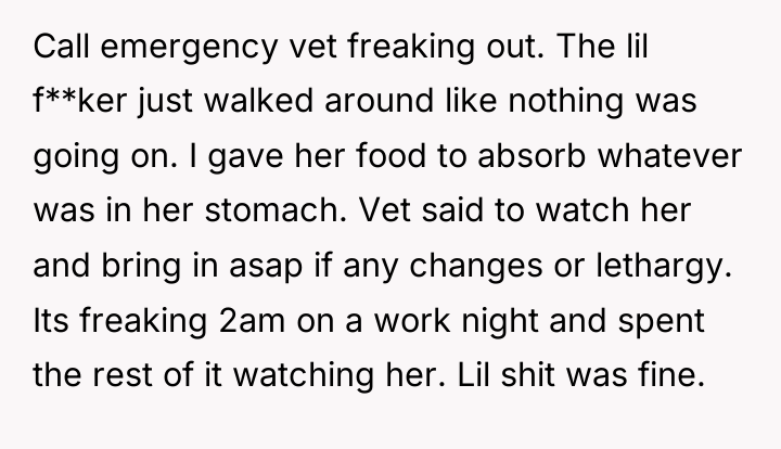 Call emergency vet freaking out. The lil f**ker just walked...
