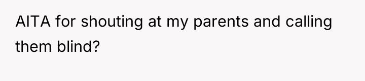 AITA for shouting at my parents and calling them blind?