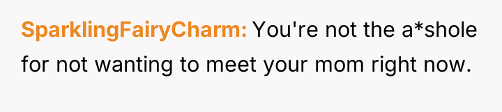 SparklingFairyCharm You're not the a*shole for not wanting to meet...
