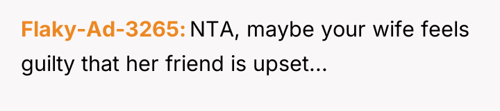 Flaky-Ad-3265 NTA, maybe your wife feels guilty that her friend...