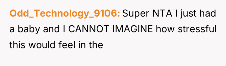 Odd_Technology_9106 Super NTA I just had a baby and I...