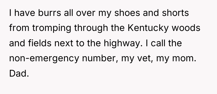 I have burrs all over my shoes and shorts from...