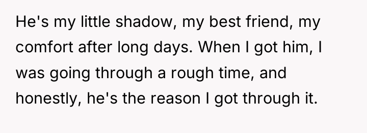 He's my little shadow, my best friend, my comfort after...