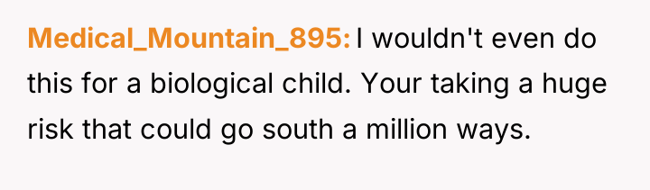 Medical_Mountain_895 I wouldn't even do this for a biological child....