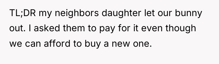 TL;DR my neighbors daughter let our bunny out. I asked...