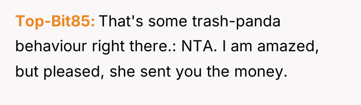 Top-Bit85 That's some trash-panda behaviour right there.: NTA. I am...