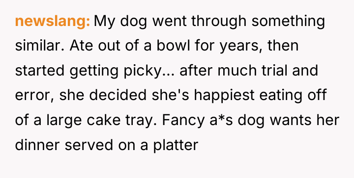 newslang My dog went through something similar. Ate out of...