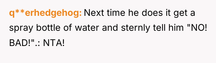q**erhedgehog Next time he does it get a spray bottle...