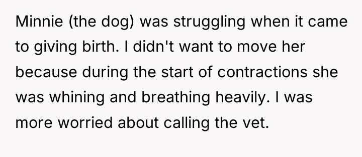 Minnie (the dog) was struggling when it came to giving...