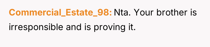 Commercial_Estate_98 Nta. Your brother is irresponsible and is proving it.