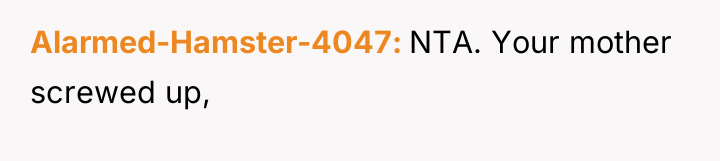 Alarmed-Hamster-4047 NTA. Your mother screwed up,