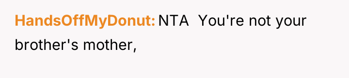 HandsOffMyDonut NTA You're not your brother's mother,