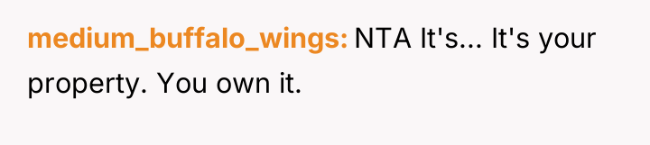 medium_buffalo_wings NTA It's... It's your property. You own it.
