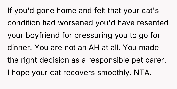 If you'd gone home and felt that your cat's condition...