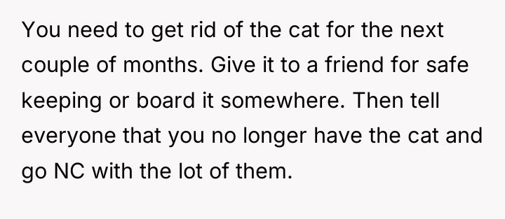 You need to get rid of the cat for the...