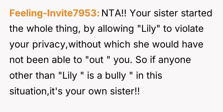 Feeling-Invite7953 NTA!! Your sister started the whole thing, by allowing...