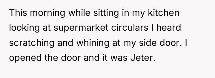 This morning while sitting in my kitchen looking at supermarket...
