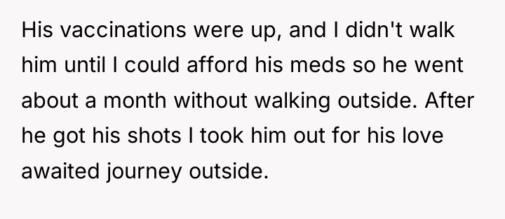 His vaccinations were up, and I didn't walk him until...