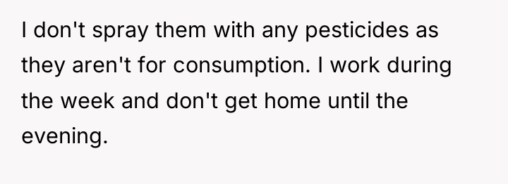 I don't spray them with any pesticides as they aren't...