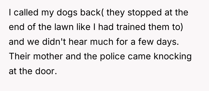 I called my dogs back( they stopped at the end...