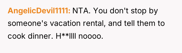 AngelicDevil1111 NTA. You don't stop by someone's vacation rental, and...