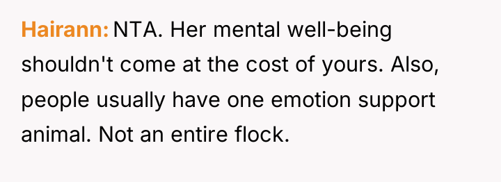 Hairann NTA. Her mental well-being shouldn't come at the cost...