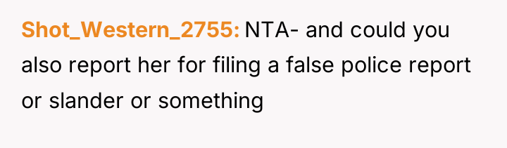 Shot_Western_2755 NTA- and could you also report her for filing...