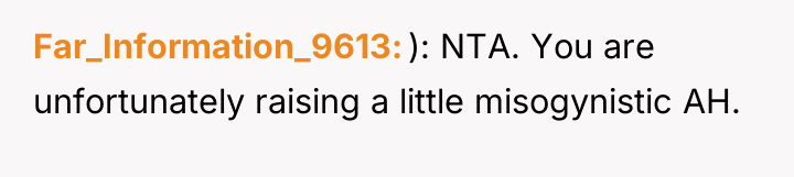 Far_Information_9613 ): NTA. You are unfortunately raising a little misogynistic...