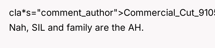 cla*s="comment_author">Commercial_Cut_9105: Nah, SIL and family are the AH.