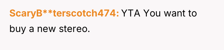 ScaryB**terscotch474 YTA You want to buy a new stereo.