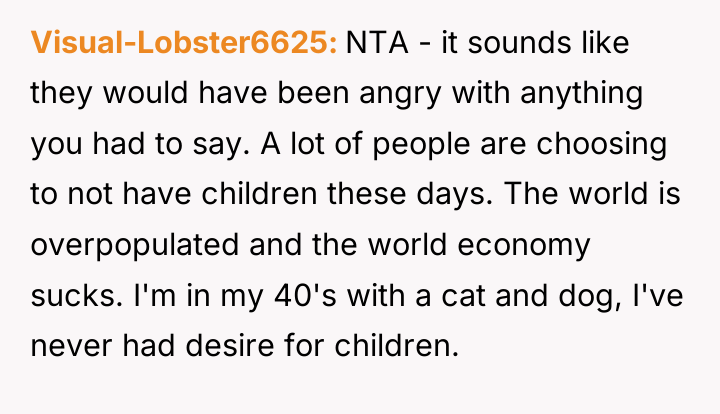 Visual-Lobster6625 NTA - it sounds like they would have been...