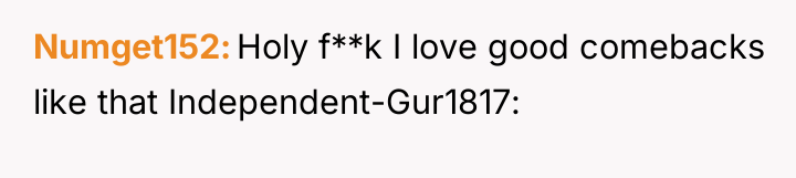 Numget152 Holy f**k I love good comebacks like that Independent-Gur1817: