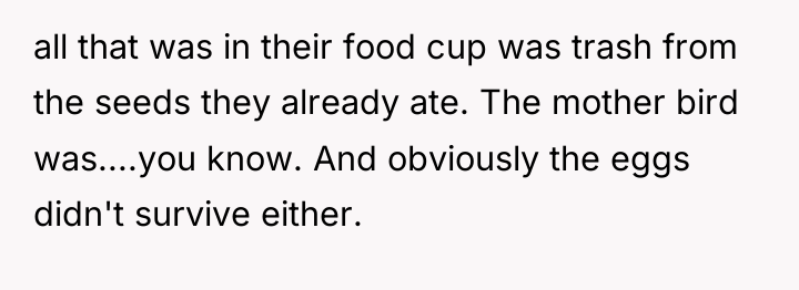 all that was in their food cup was trash from...