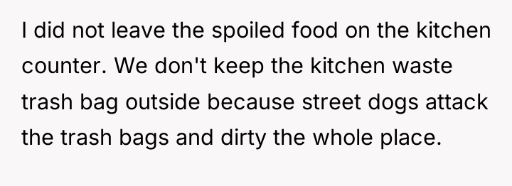 I did not leave the spoiled food on the kitchen...