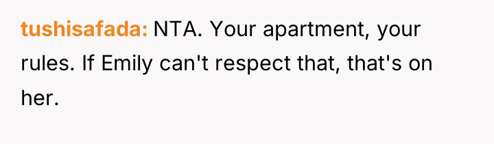 tushisafada NTA. Your apartment, your rules. If Emily can't respect...