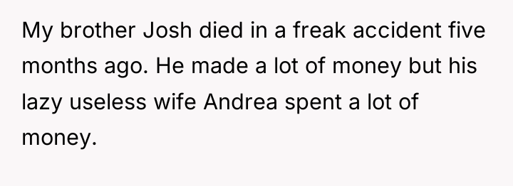 My brother Josh died in a freak accident five months...