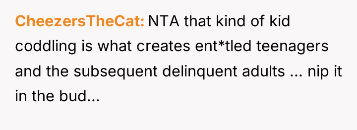 CheezersTheCat NTA that kind of kid coddling is what creates...