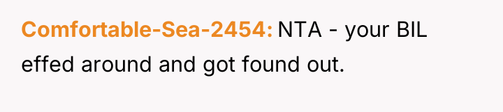 Comfortable-Sea-2454 NTA - your BIL effed around and got found...