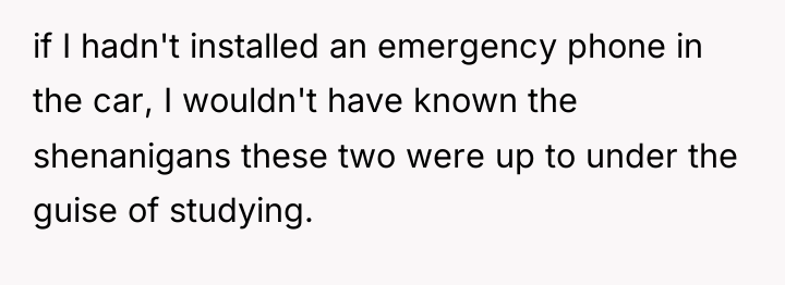 if I hadn't installed an emergency phone in the car,...