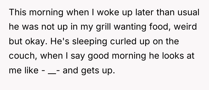 This morning when I woke up later than usual he...