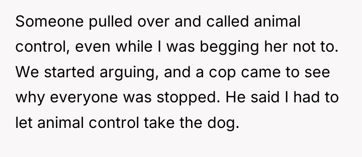 Someone pulled over and called animal control, even while I...