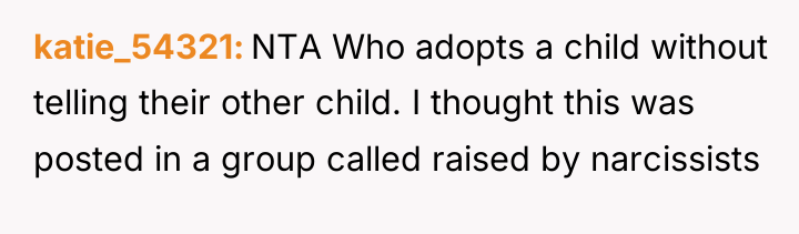 katie_54321 NTA Who adopts a child without telling their other...