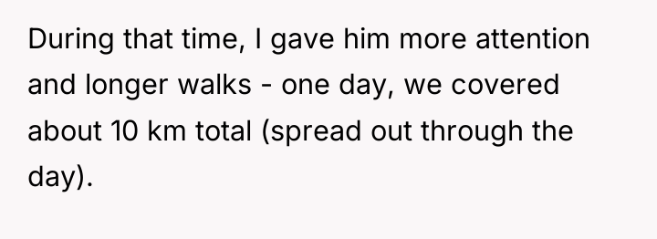 During that time, I gave him more attention and longer...