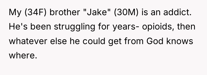 My (34F) brother "Jake" (30M) is an addict. He's been...