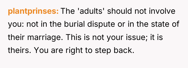 plantprinses The 'adults' should not involve you: not in the...