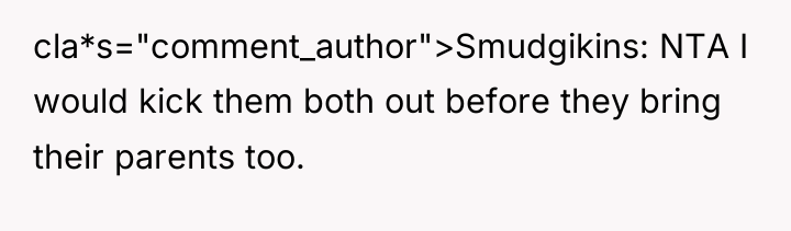 cla*s="comment_author">Smudgikins: NTA I would kick them both out before they...
