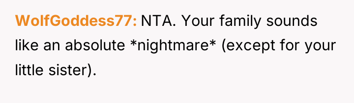 WolfGoddess77 NTA. Your family sounds like an absolute *nightmare* (except...