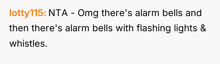 lotty115 NTA - Omg there's alarm bells and then there's...