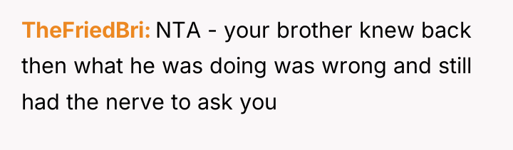 TheFriedBri NTA - your brother knew back then what he...